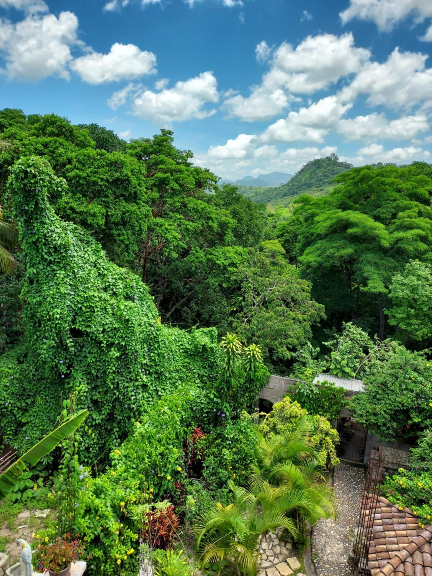 Copán Hotel La Escalinata المظهر الخارجي الصورة